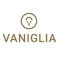 Vaniglia logo - Similar company to Kingstore Ltd
