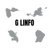 G LINFO logo - Similar company to Mle Web Agency