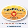 Recursos Humanos Sunbelle México logo - Similar company to Sunbelle México