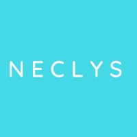 Neclys · Cabinet d’expertise comptable · Audit · Conseil logo - Similar company to Sfpn - Cabinet D'Expertise Comptable