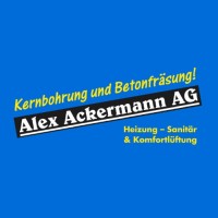 Alex Ackermann AG logo - Similar company to Verneo Gruppe
