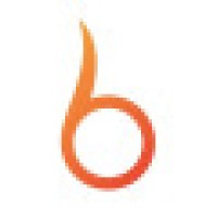 Blazetekk logo - Similar company to Advantage Care Group, Inc.