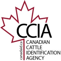 Canadian Cattle Identification Agency logo - Similar company to Beef Cattle Research Council