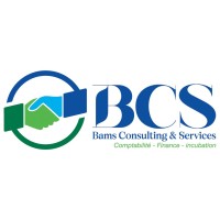 Bams Consulting & Services SUARL logo - Similar company to Ase Consulting Sn