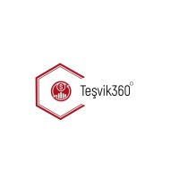 Teşvik 360° logo - Similar company to Sprinter Consultancy Services