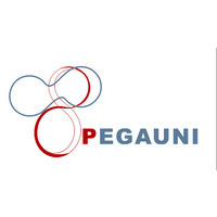 Pegauni Technology Inc. logo - Similar company to Xonark