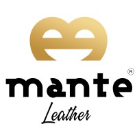 Mante logo - Similar company to Pol International Transport Company