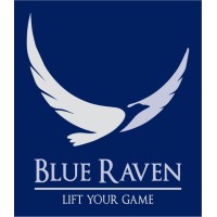 Blue Raven logo - Similar company to Ultraplayers