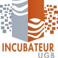 Incubateur UGB logo - Similar company to Alexandre V.-Smejda Llc