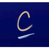 CITEASEN logo - Similar company to Idealice | Agence De Communication Stratégique Et Digitale | Strasbourg