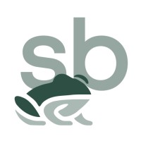 SouthbridgeAI logo - Similar company to Nervotec