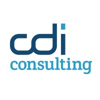 cdi consulting logo - Similar company to Auditexpert