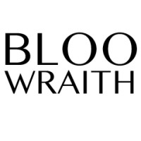 Bloo Wraith logo - Similar company to Healthcare Development & Innovation Group (Hdig)