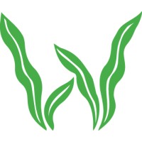 Seeweed Underwater Game Cameras logo - Similar company to Sense-Ational Spaces, Llc