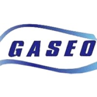 GASEO - Gestão em Saúde e Segurança Ocupacional logo - Similar company to Qualiforma Medicina Ocupacional