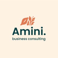 Amini Business Consulting logo - Similar company to Amgt