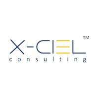X-Ciel Consulting Private. Limited. logo - Similar company to One Advisor