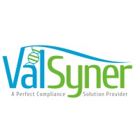 ValSyner Consultancy Services Pvt. Ltd. logo - Similar company to Lab Iconics Technologies