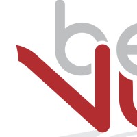 Beyond The Numbers logo - Similar company to Human Risk Solutions