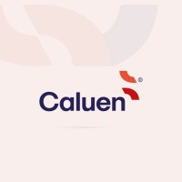 Caluen_mz logo - Similar company to Sixt Sense Services