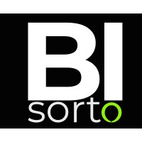bisorto logo - Similar company to Riotech Solutions