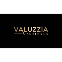 VALUZZIA PARTNERS logo - Similar company to Breakthrough Solutions