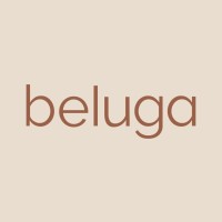 Beluga logo - Similar company to Nova Rl