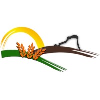 Nuova Scala S.r.l. logo - Similar company to Fideas Srl