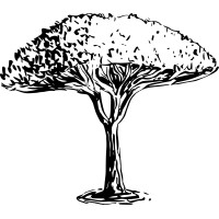Arbul logo - Similar company to Net&Com S.R.L.