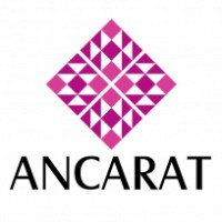 ANCARAT CORPORATION logo - Similar company to Metahubvn