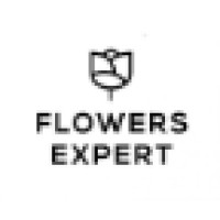 Flowers Expert logo - Similar company to Floral Exports