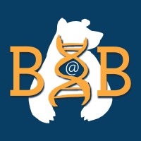 Biotech @Berkeley logo - Similar company to Tildenbio
