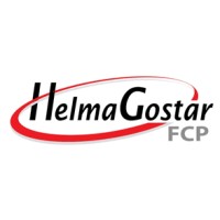 Helma Gostar logo - Similar company to Roham Datak