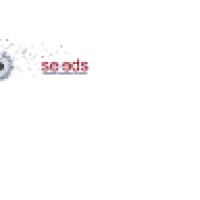 Se.Eds (Swedish Education Services)