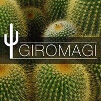 Giromagi logo - Similar company to Pesciaflor S.R.L.