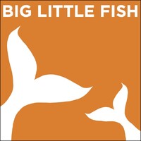 Big Little Fish TV logo - Similar company to Mash&Co | Animation & Games