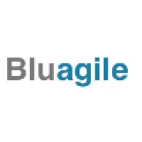 Bluagile logo - Similar company to Traffox - New Generation Ad Network