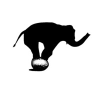 Tiny Elephant logo - Similar company to All Of Us Or None Action Network