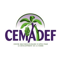 CEMADEF logo - Similar company to Medsen