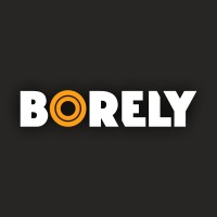 Borely logo - Similar company to Future-Proof Solutions