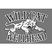 Wildcat Wellhead Services, LLC logo - Similar company to Bt Wellhead