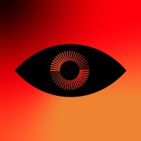 Flying Eye Studio logo - Similar company to Until® Creative Agency