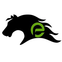Mustang Extreme Environmental Services logo - Similar company to Hypernova Creation