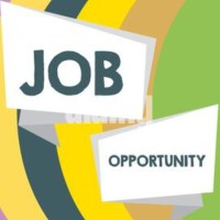 Employment  Job Opportunities logo - Similar company to Sterling Exports
