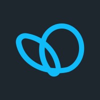 BluChaos logo - Similar company to Comptrolla Technologies, Inc.