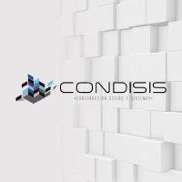 CONDISIS SA DE CV (const. industrial) logo - Similar company to Petstar