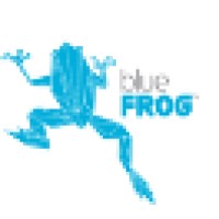 Blue Frog Media logo - Similar company to Digital Creatives