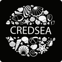 Credsea Administradora de Cartões de Crédito logo - Similar company to Toksaúde