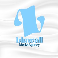Bluwall Media Agency logo - Similar company to 953 Jamz