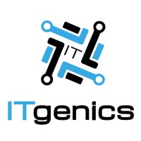 ITgenics logo - Similar company to Skydot Inc